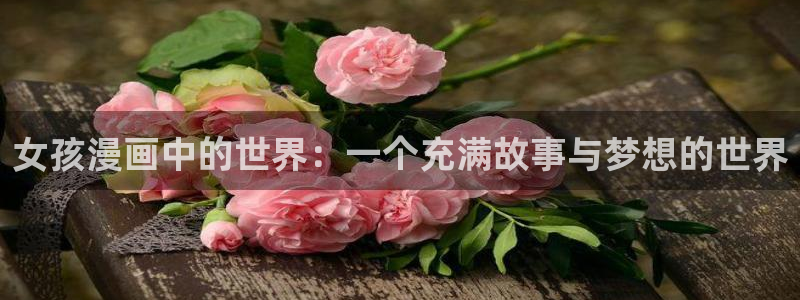 极速漫画网页版入口